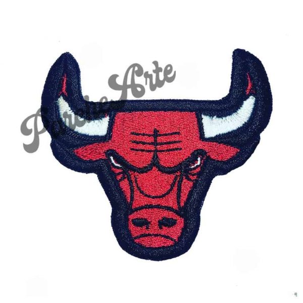 Chicago Bulls